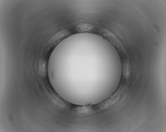 X0000112080378200908181247