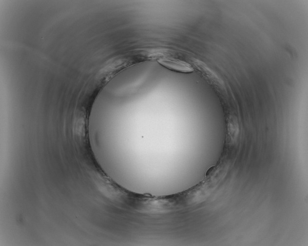 X0000112080379200908181247