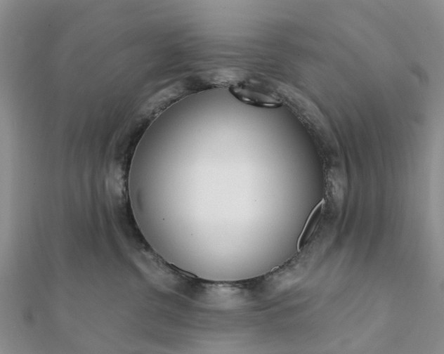 X0000112080380200908181247