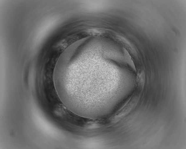 X0000112080381200908181247