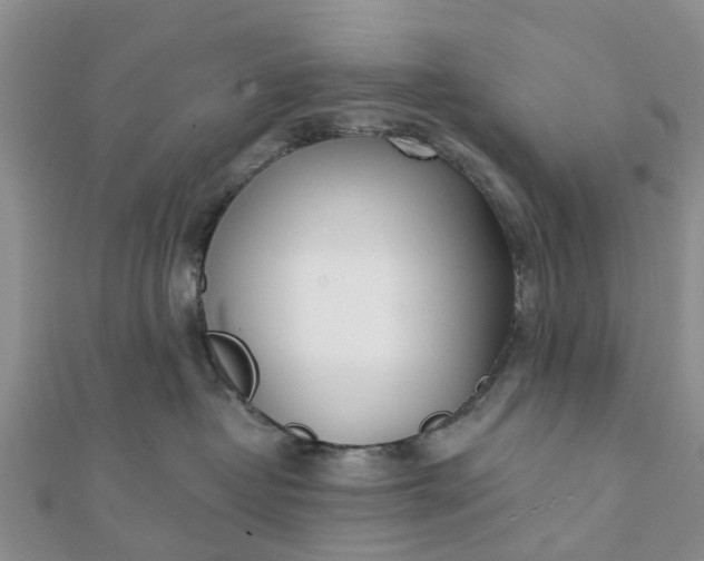 X0000112080382200908181247