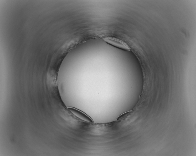 X0000112080384200908181247