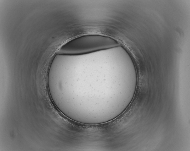 X0000112080385200908181246