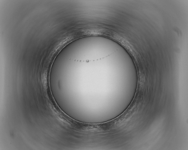 X0000112080386200908181246