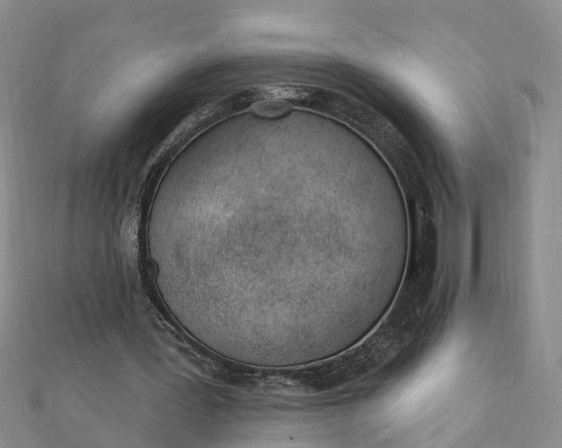 X0000112080387200908181246