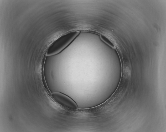 X0000112080389200908181246