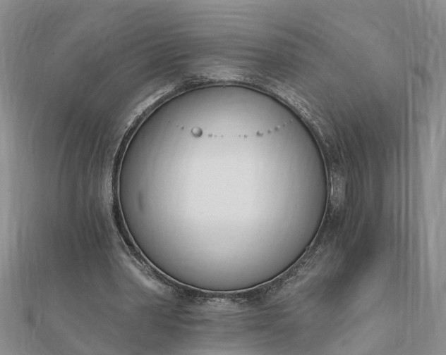 X0000112080390200908181246