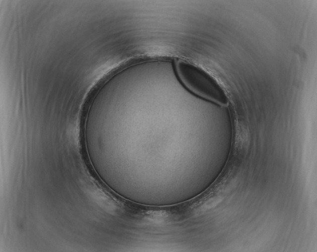 X0000112080391200908181246