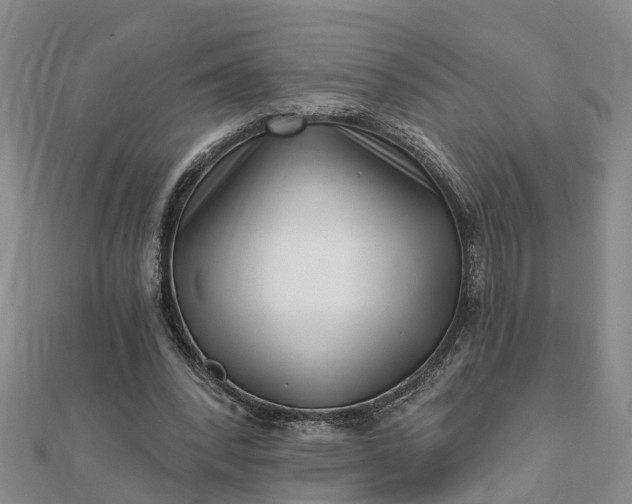 X0000112080392200908181246