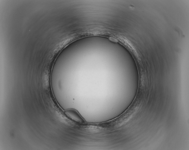 X0000112080393200908181246