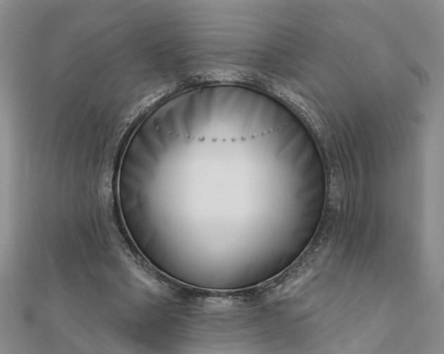 X0000112080394200908181246