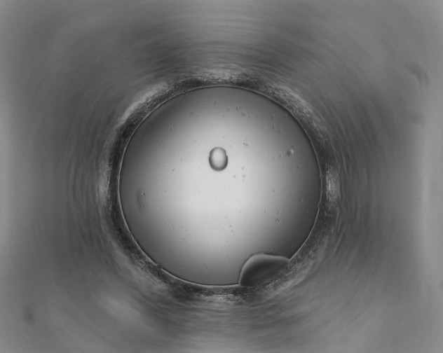 X0000112080396200908181246