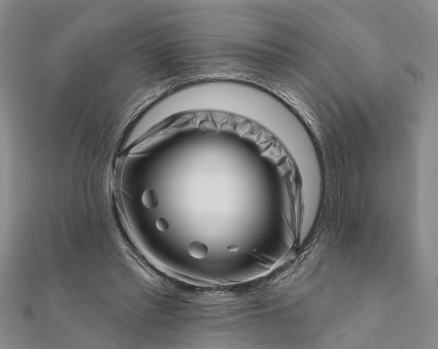 X0000112080397200908181246