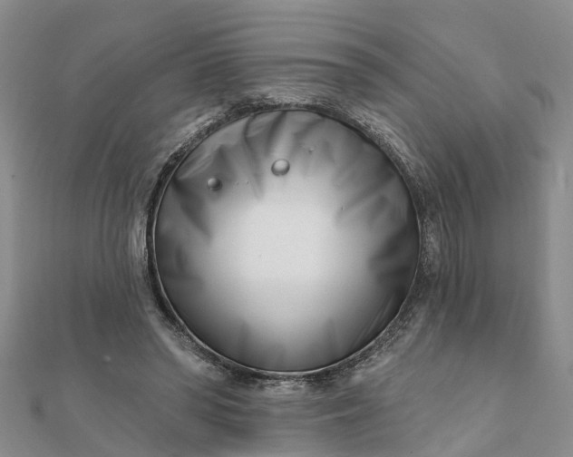 X0000112080398200908181246