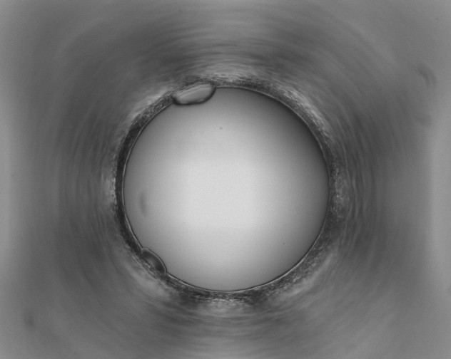 X0000112080399200908181246