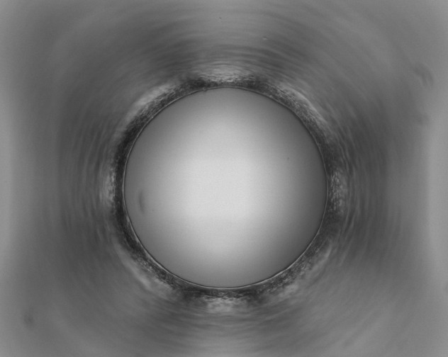 X0000112080400200908181246