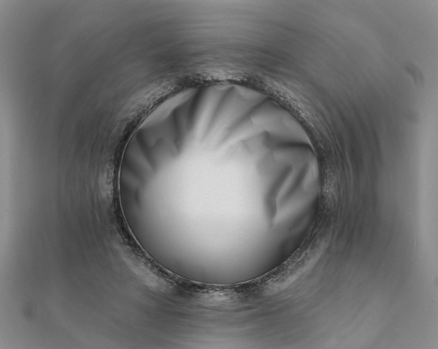 X0000112080402200908181246