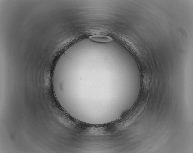 X0000112080403200908181246