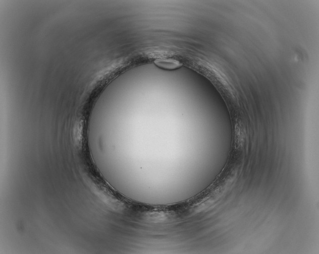 X0000112080404200908181246