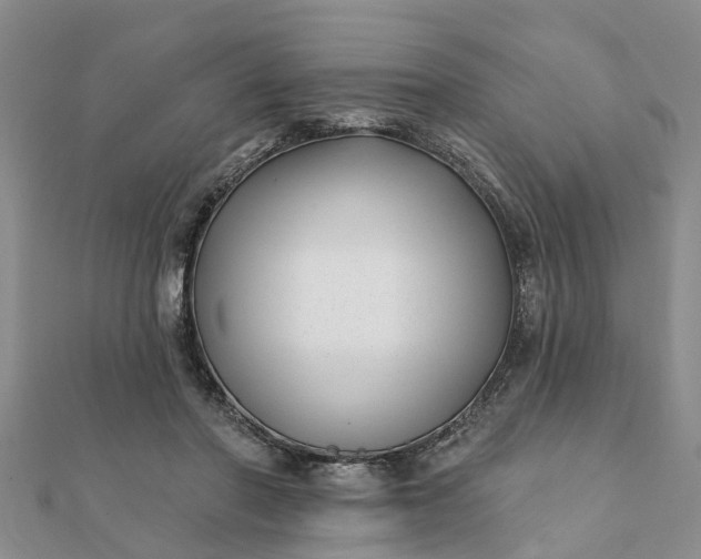 X0000112080406200908181246