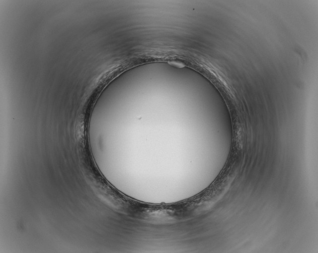 X0000112080407200908181246