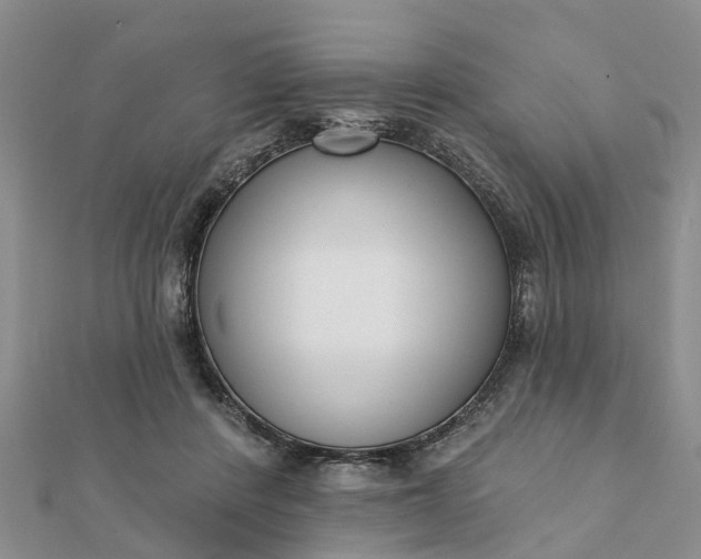 X0000112080408200908181246