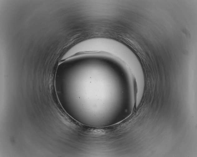 X0000112080409200908181246