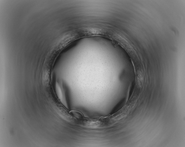 X0000112080410200908181246