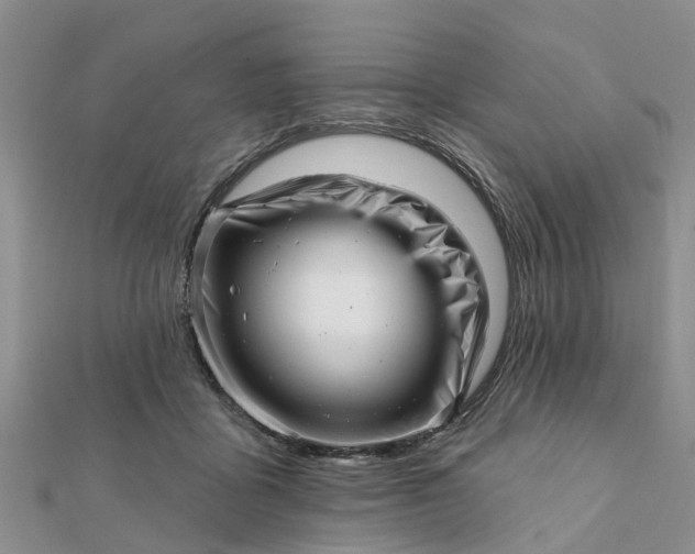 X0000112080411200908181246