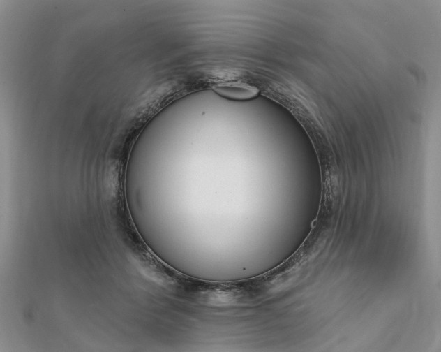 X0000112080412200908181246