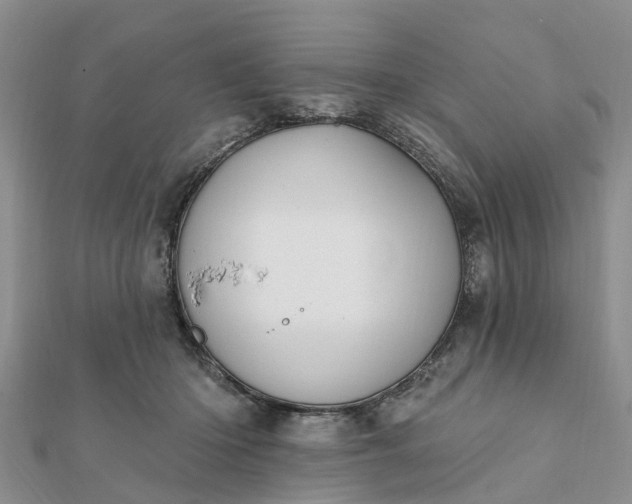 X0000112080414200908181246