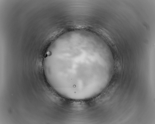 X0000112080415200908181246