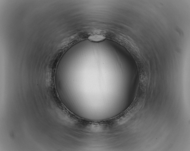 X0000112080416200908181246