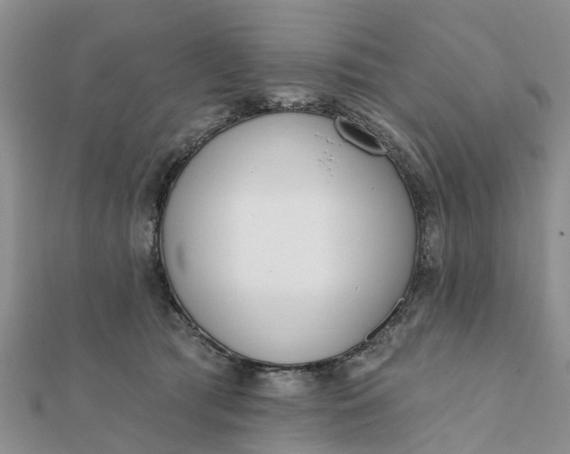 X0000112080417200908181246