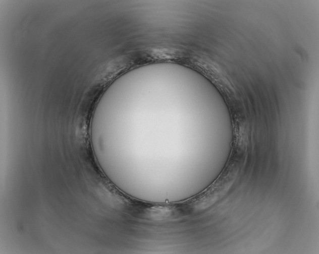 X0000112080418200908181246