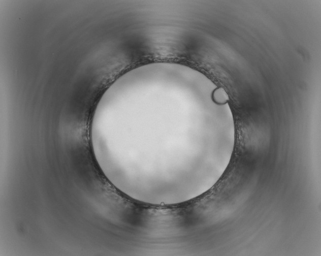 X0000112080419200908181246