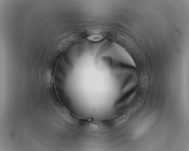 X0000112080420200908181246