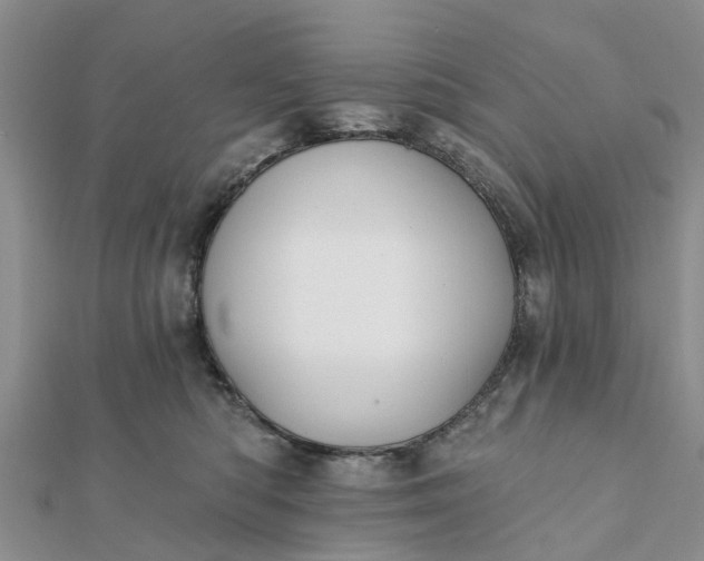 X0000112080422200908181246