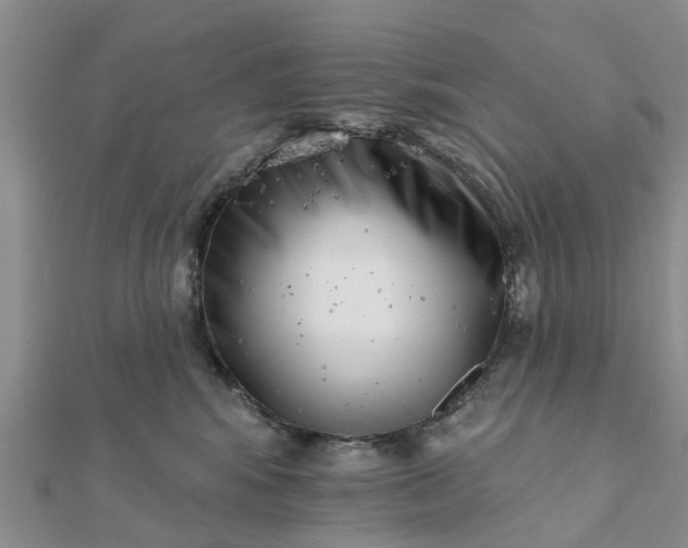 X0000112080424200908181246