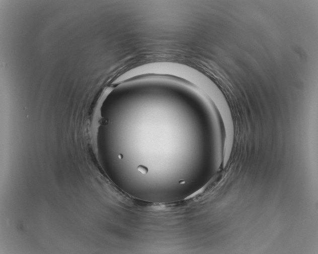 X0000112080425200908181246