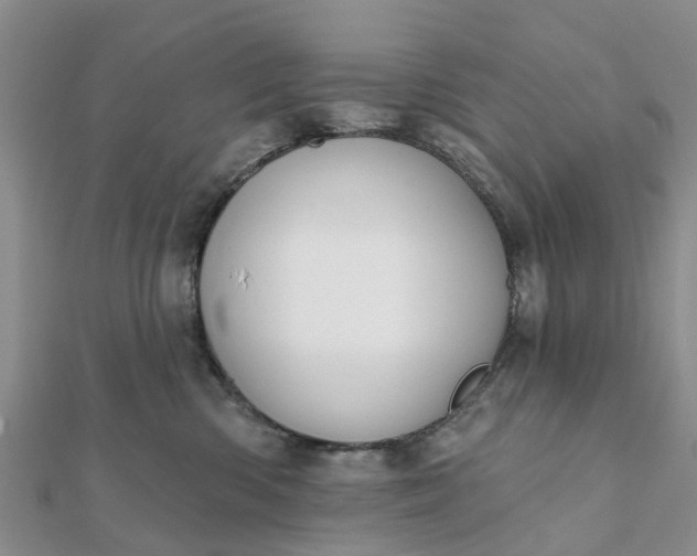 X0000112080426200908181246