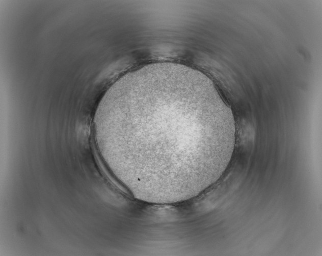 X0000112080427200908181246