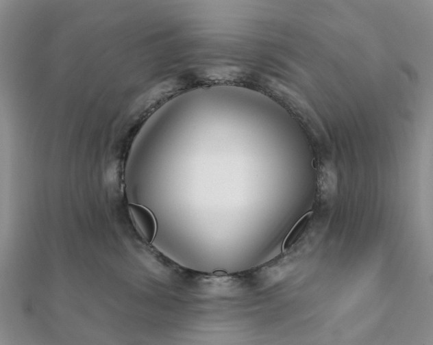 X0000112080428200908181246