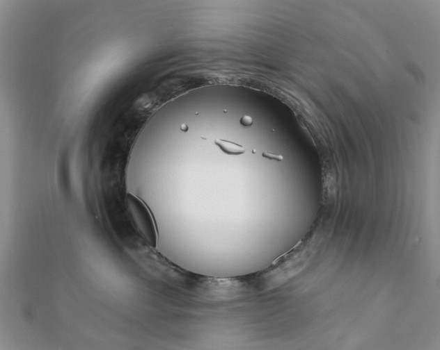 X0000112080429200908181246