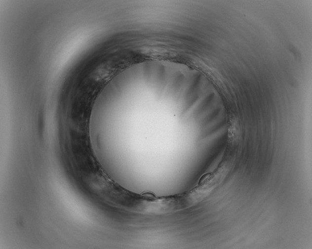 X0000112080430200908181246