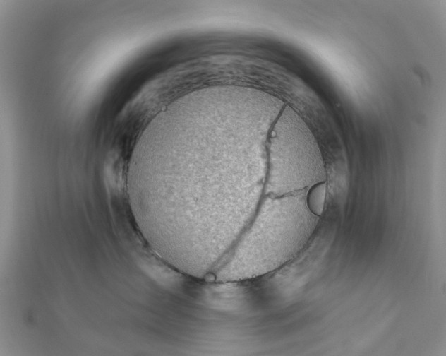 X0000112080431200908181246