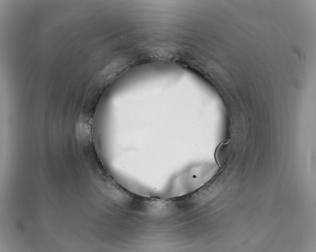 X0000112080432200908181246