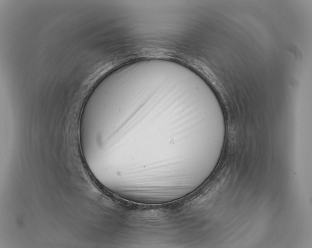 X0000112080433200908181245