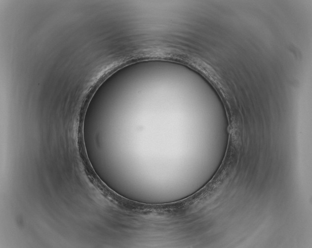 X0000112080434200908181245