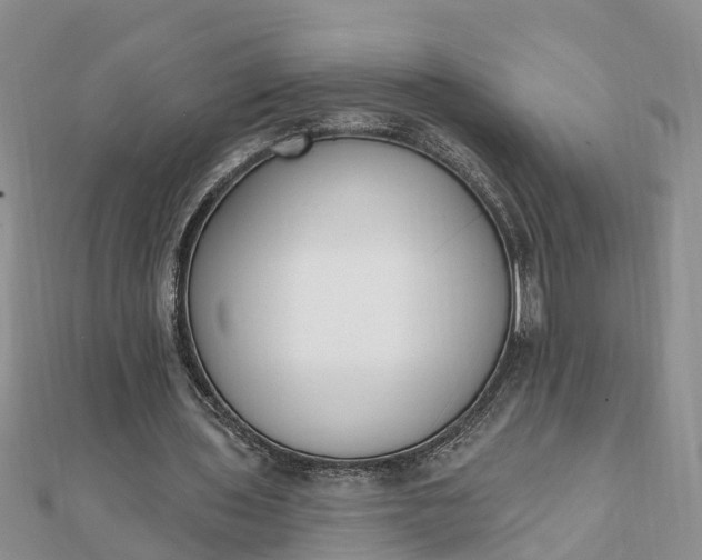 X0000112080435200908181245